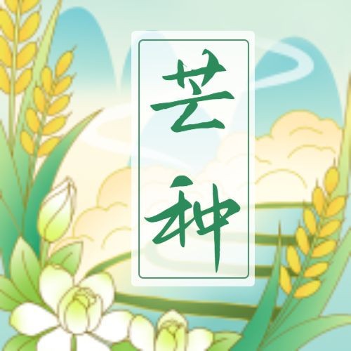 芒种，栀子，麦子，公众号次图