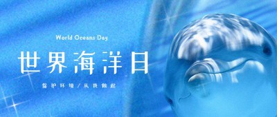 世界海洋日 保护环境 海豚 大海