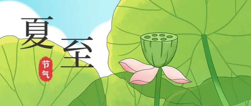 夏至，荷叶，公众号封面