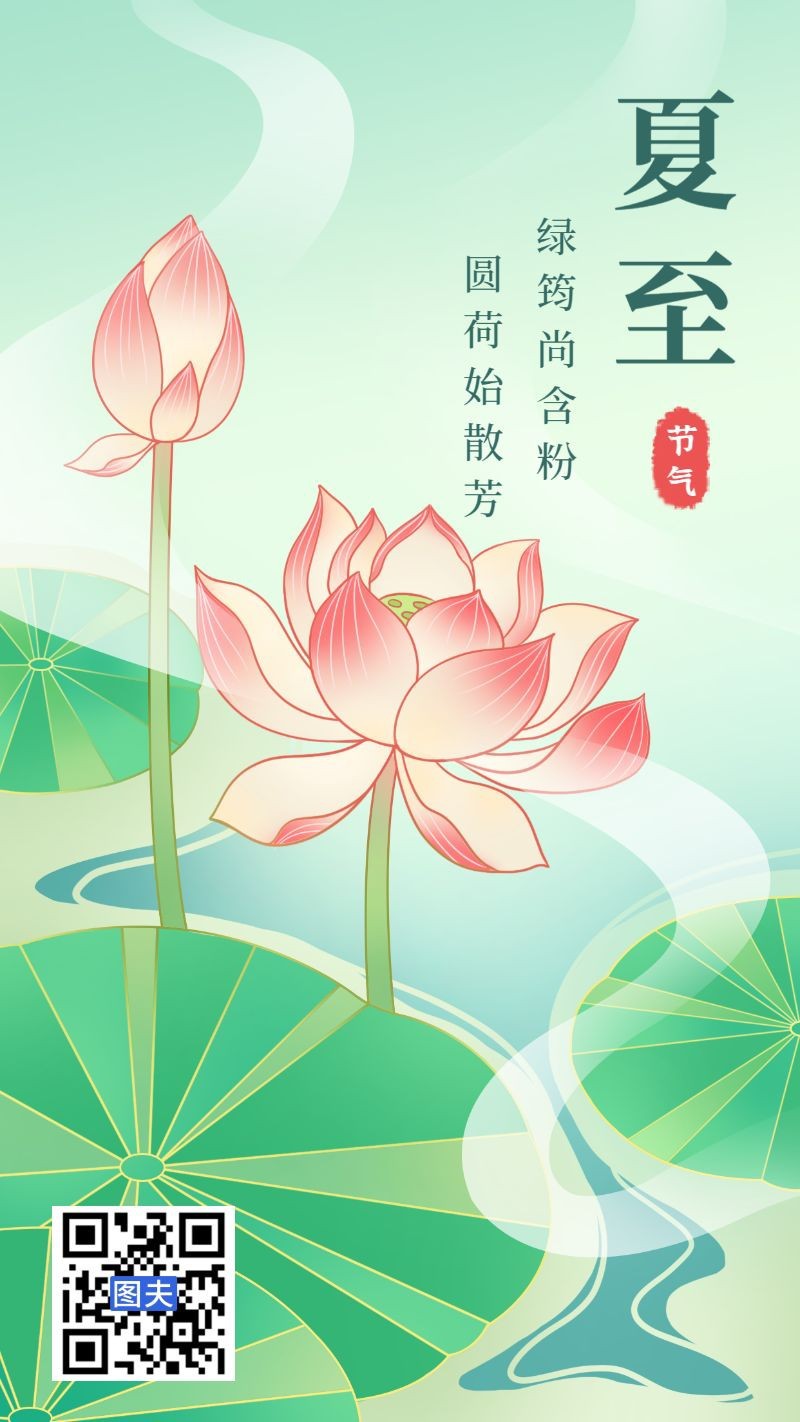 夏至，荷花，海报