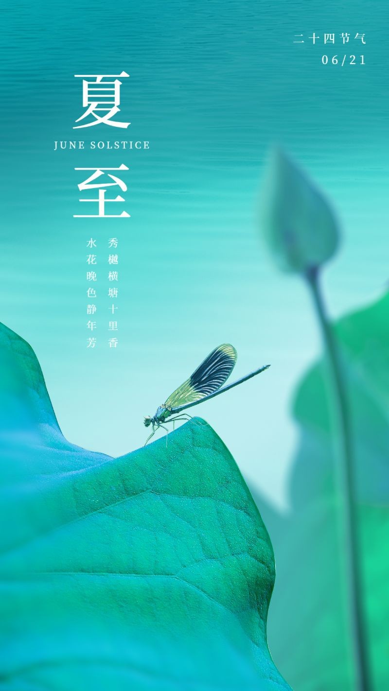 /static/assets/images/default-pic.png 夏至,节气,实景,荷叶,手机海报