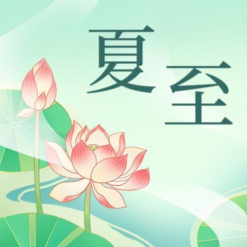 夏至，荷花，公众号次图