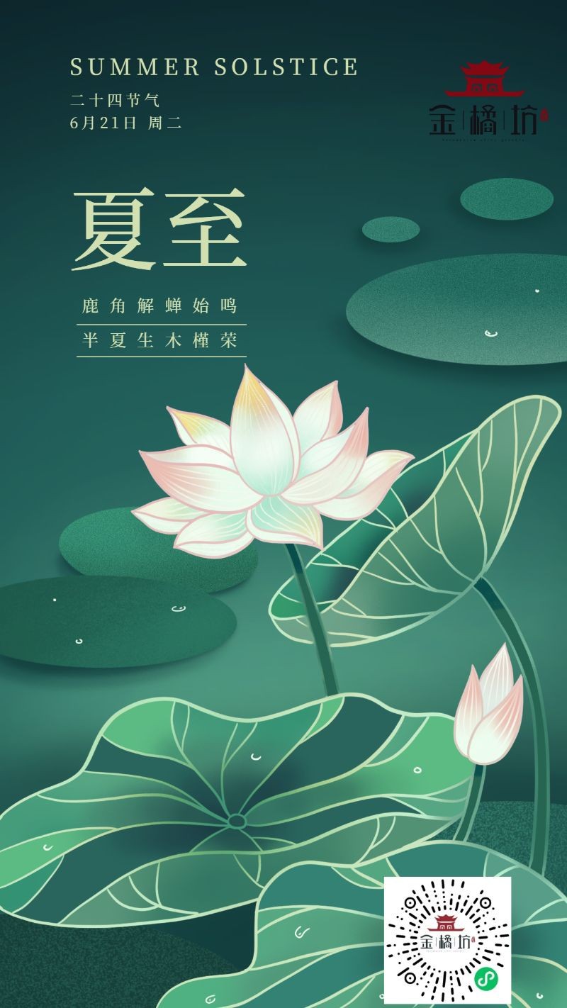 夏至，二十四节气，荷塘，插画，手机海报