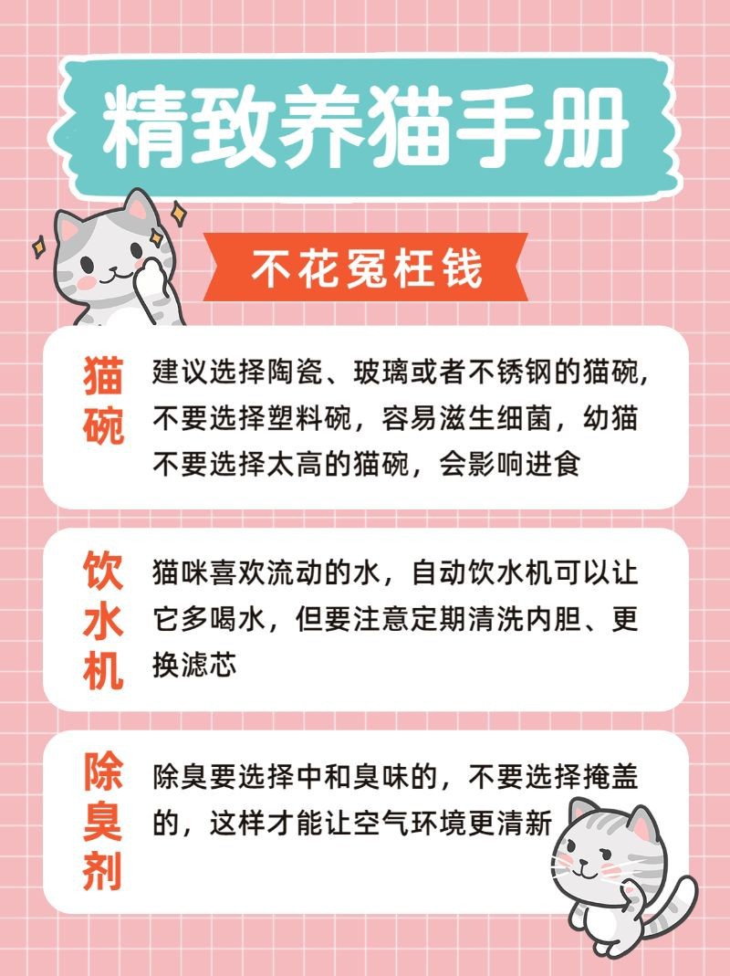 精致养猫手册，宠物饲养攻略，小红书配图