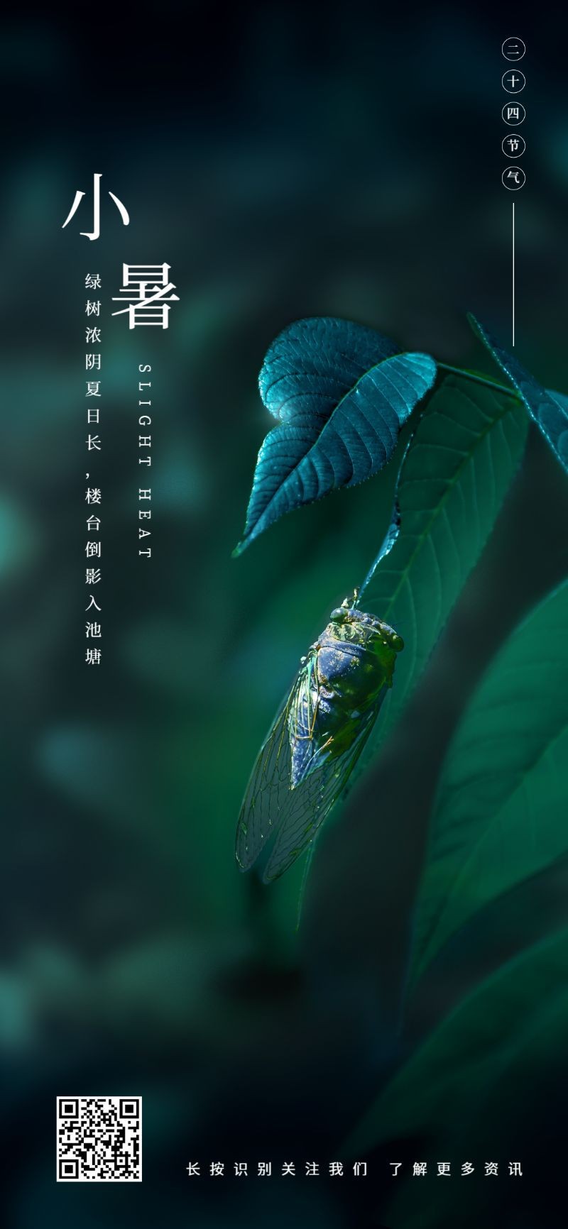 /static/assets/images/default-pic.png 小暑节气,蝉,实景,手机海报