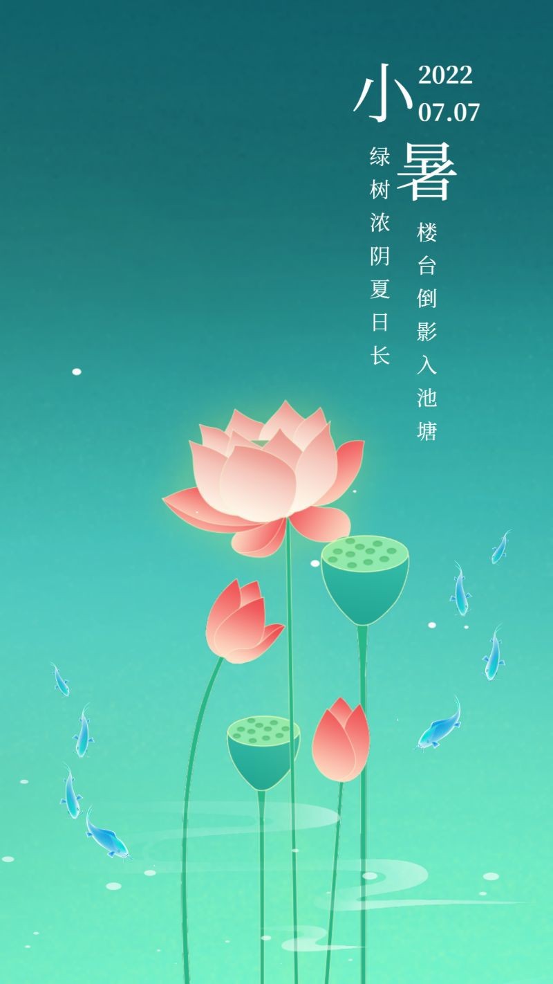 小暑 节气 海报 荷花