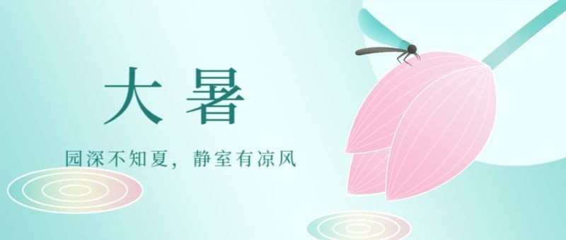 大暑，荷花，蜻蜓，公众号封