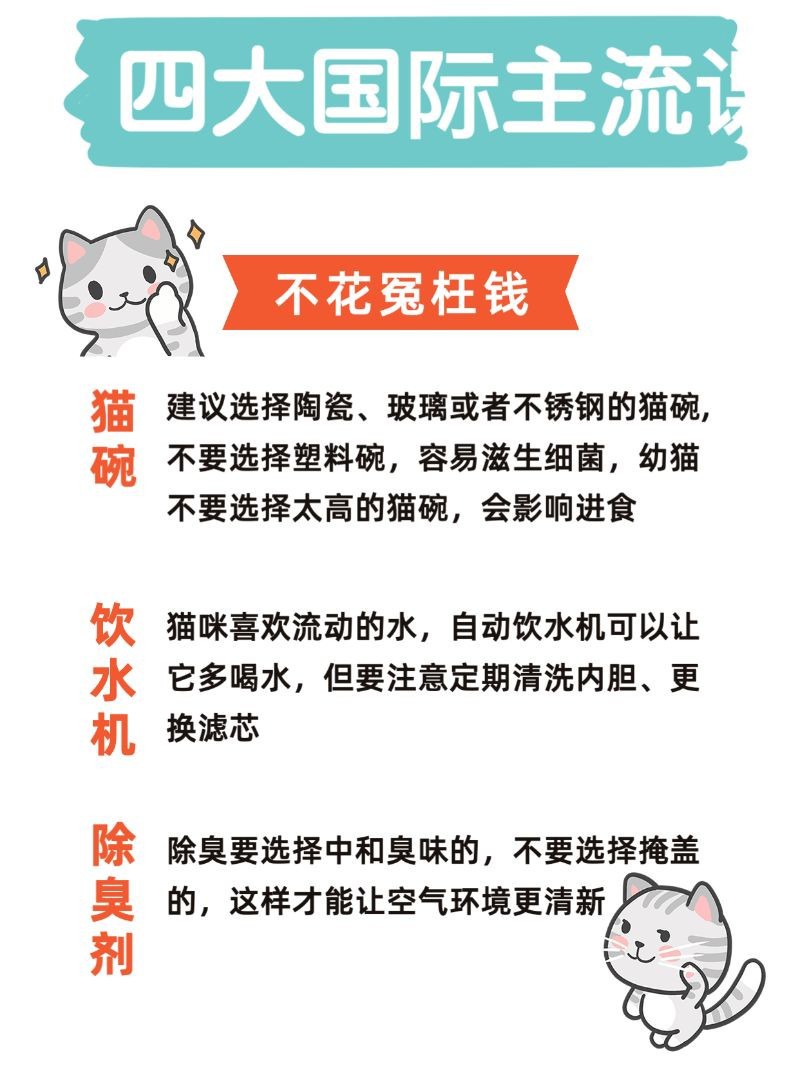 精致养猫手册，宠物饲养攻略，小红书配图