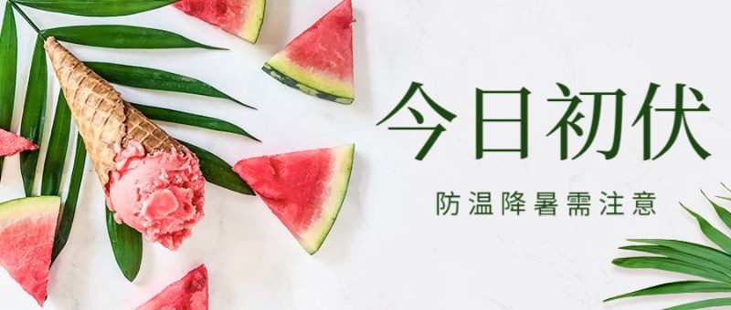 三伏天，初伏入伏，夏季实景，公众号首页