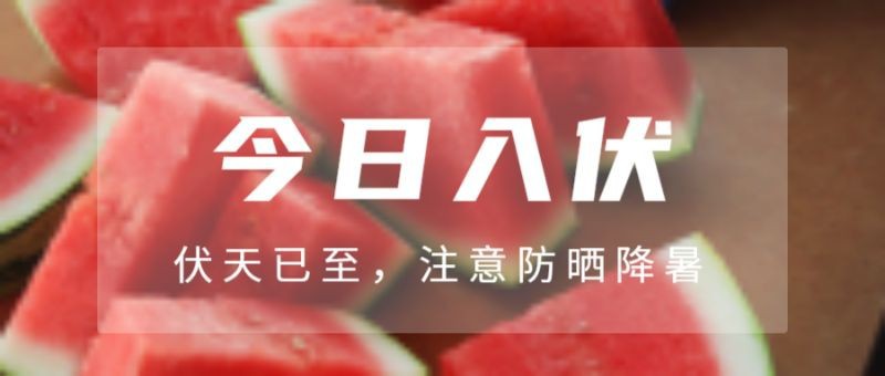 今日入伏，西瓜，公众号封面