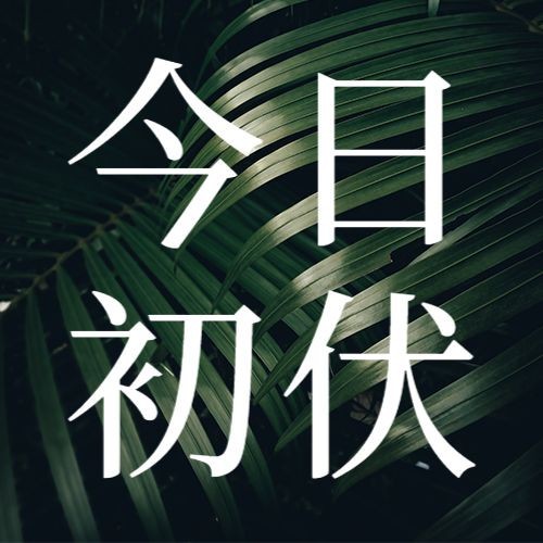 /static/assets/images/default-pic.png 今日初伏,夏季三伏,公众号次图