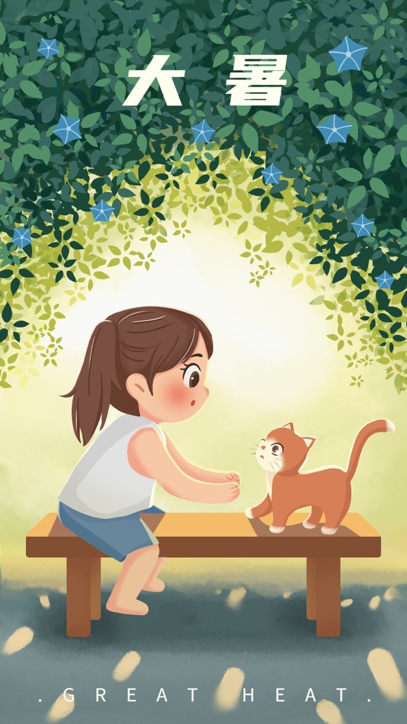 大暑，女孩，猫，海报