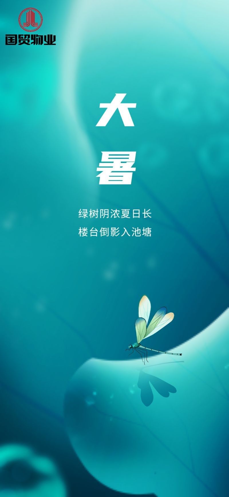 大暑，二十四节气，蜻蜓