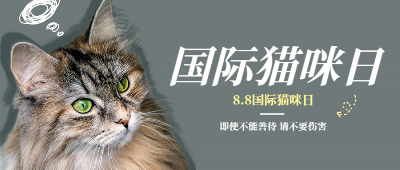 /static/assets/images/default-pic.png 世界猫咪日爱心 猫咪