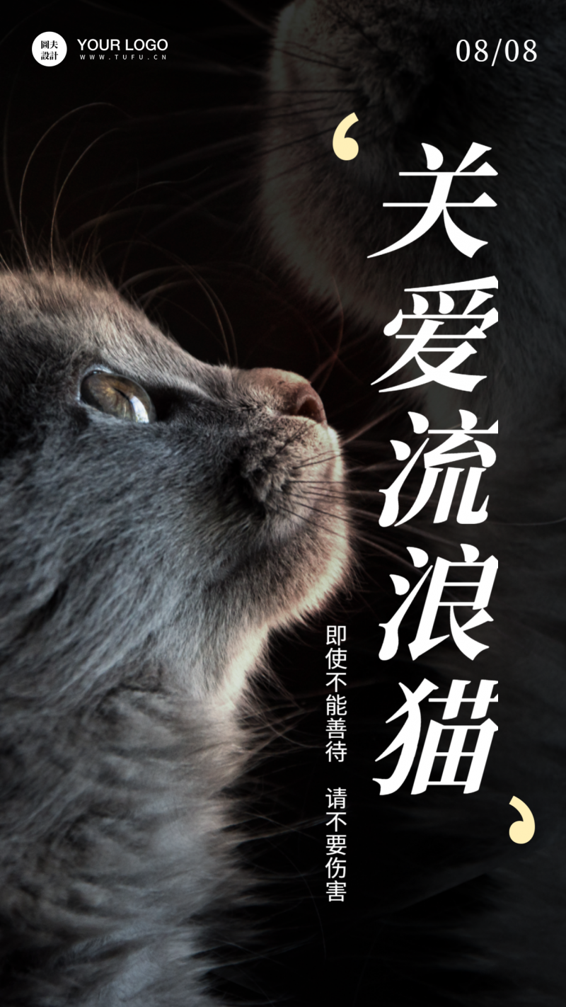 国际猫咪日节日宣传清新实景手机海报