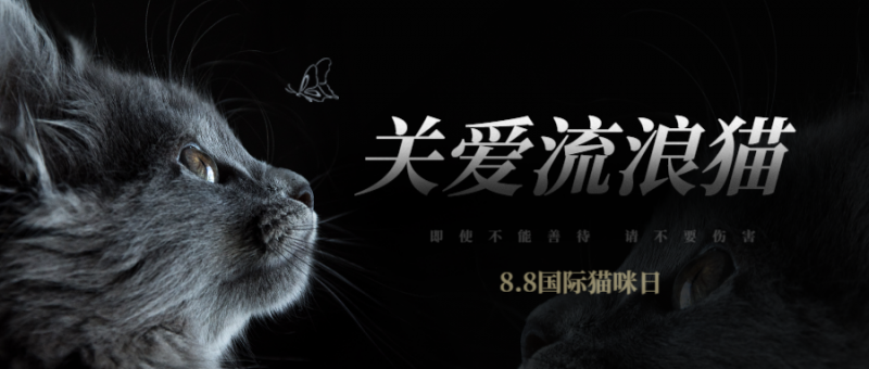 /static/assets/images/default-pic.png 国际猫咪日关爱动物公益宣传实景公众号首图