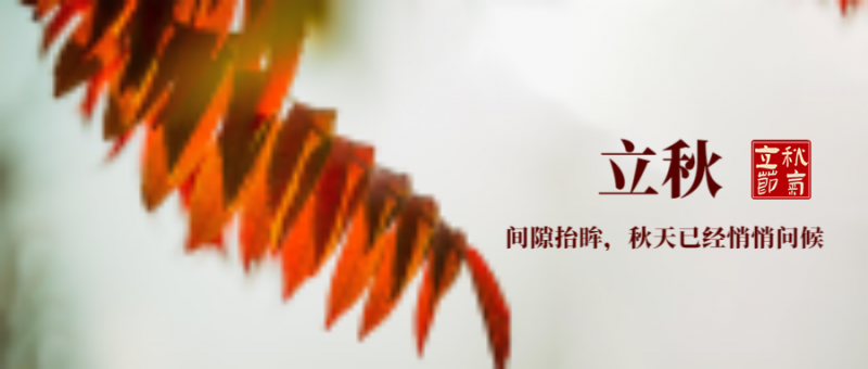 公众号封面 立秋