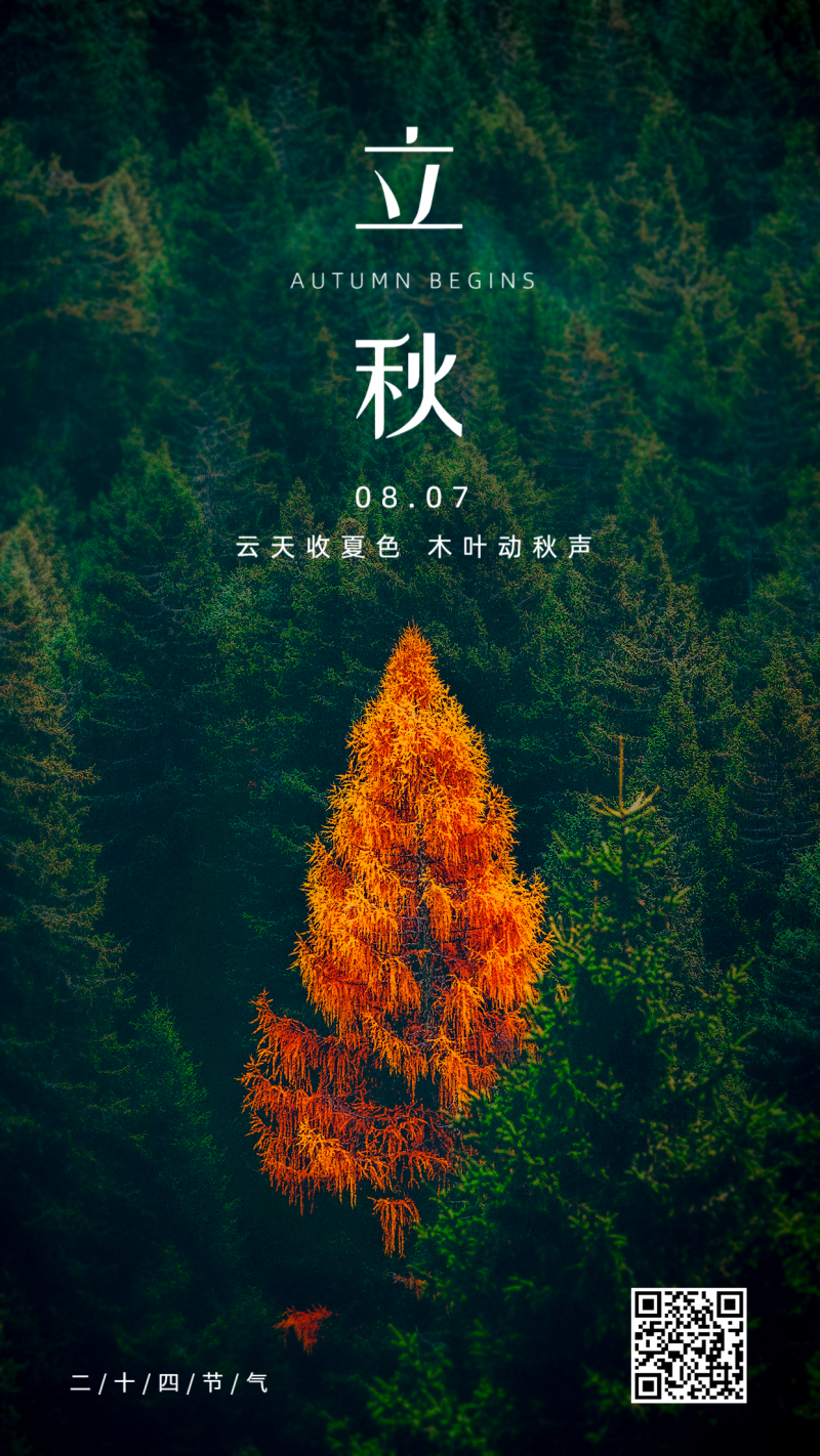 /static/assets/images/default-pic.png 立秋,节气,祝福,手机海报