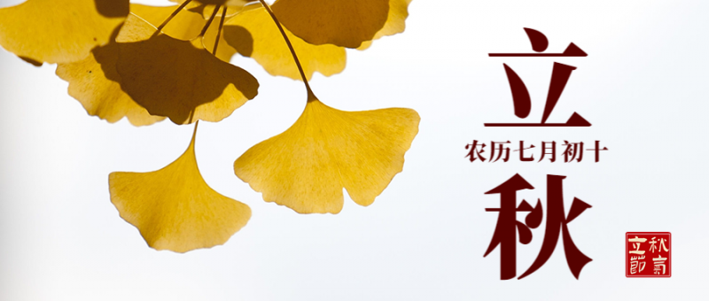 公众号封面 立秋