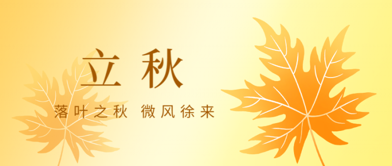 立秋，枫叶，公众号封面