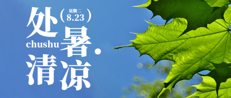 公众号封面 处暑
