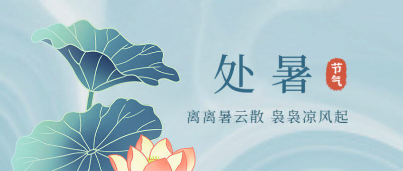 处暑，荷花，公众号封面