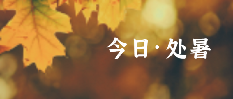/static/assets/images/default-pic.png 树叶,处暑,公众号封面
