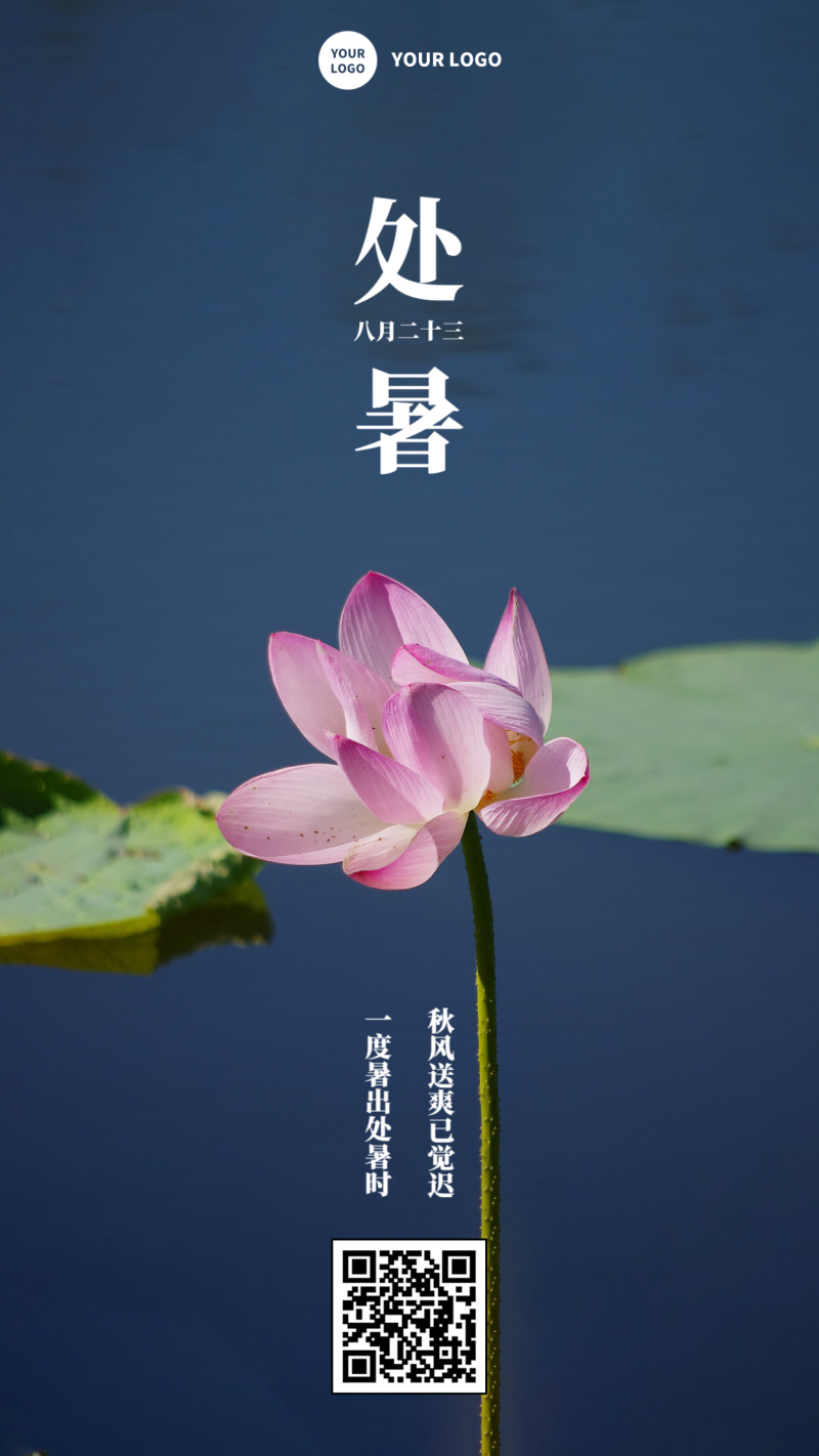手机海报 处暑 莲花
