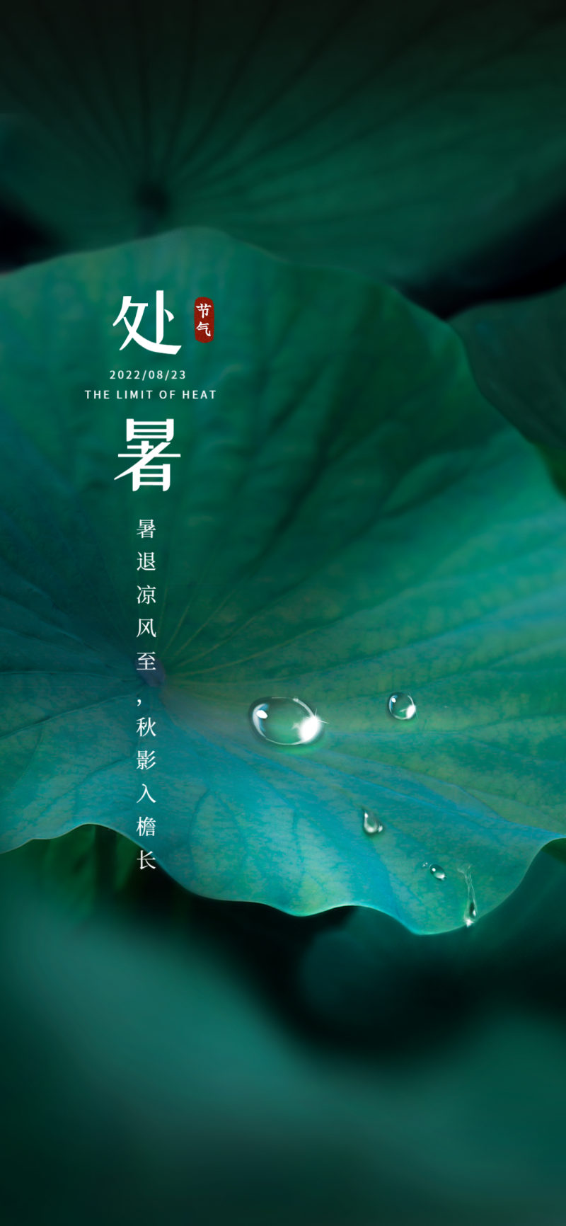 处暑，节气，祝福，日签，手机海报