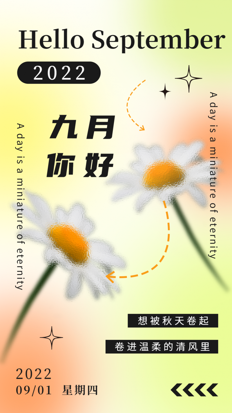 九月你好，雏菊，海报