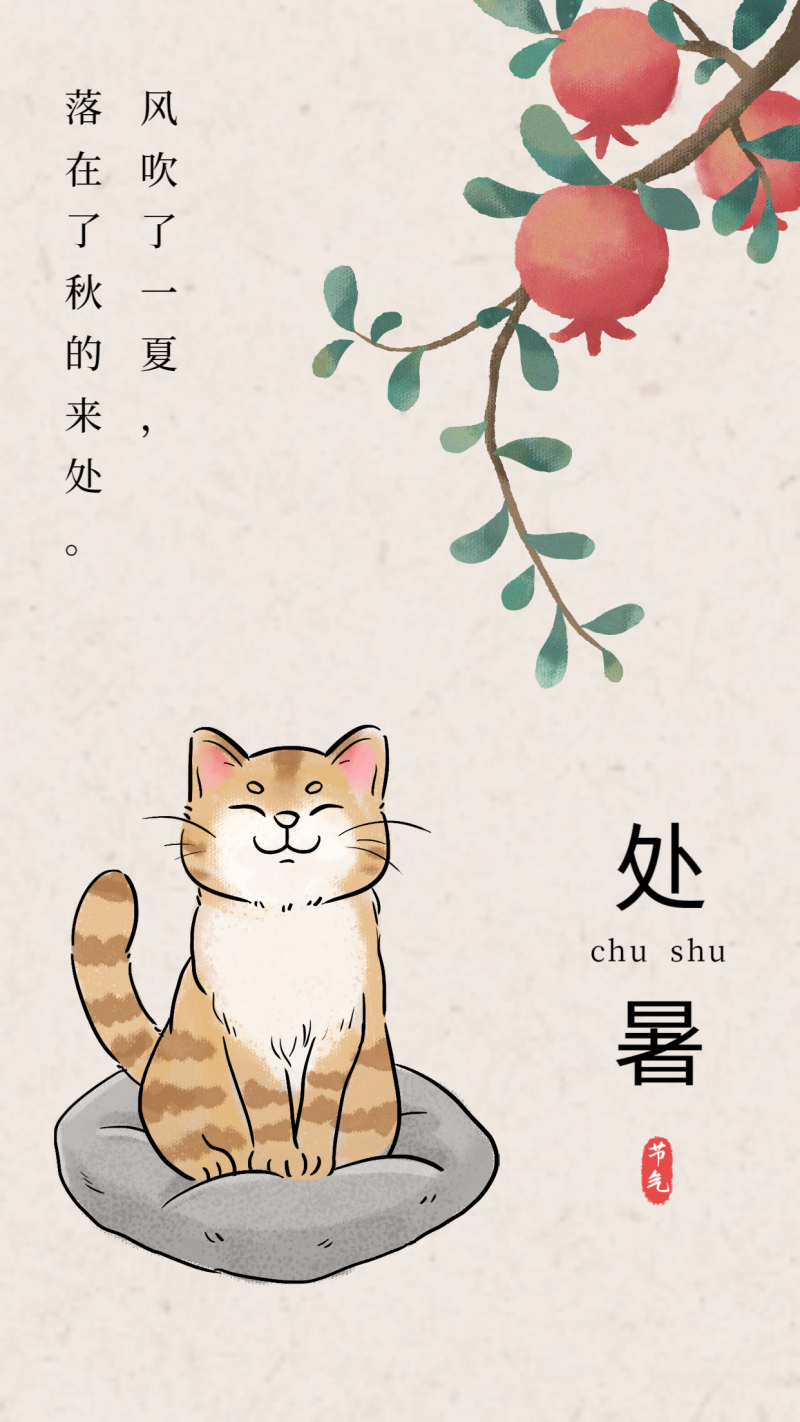 处暑，猫，石榴，海报