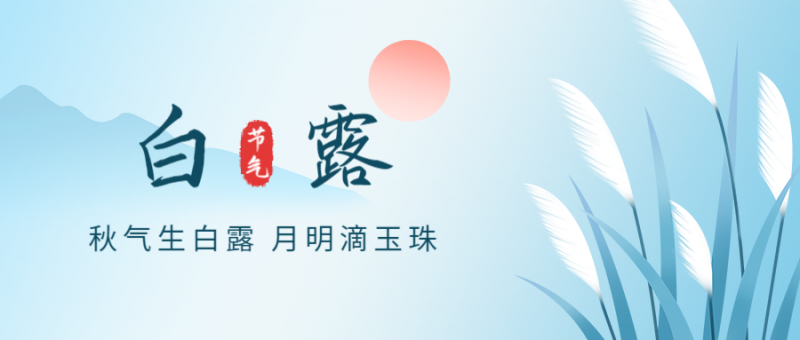 白露，芦苇，太阳，公众号封面