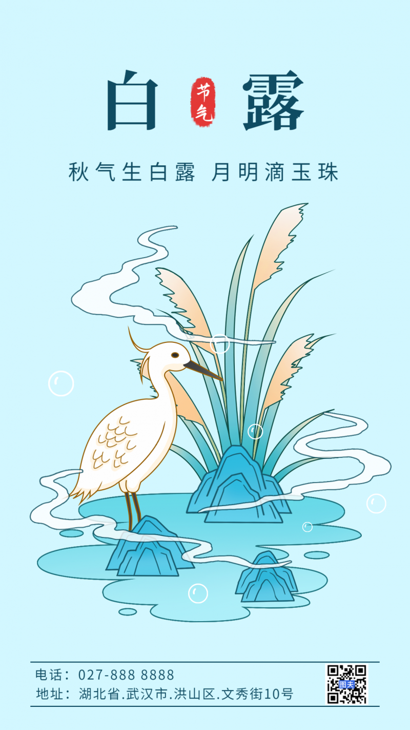 白露，芦苇，海报