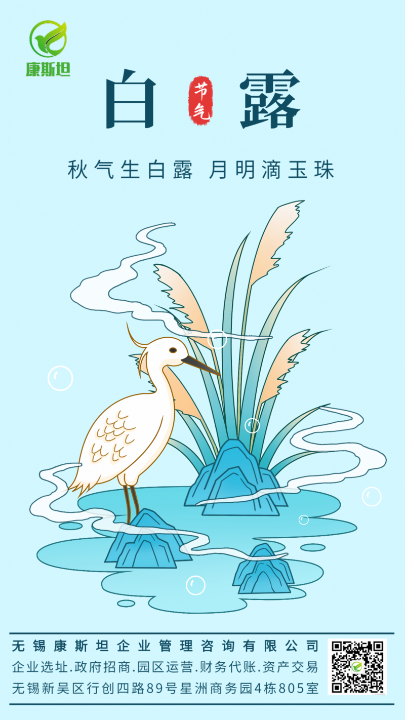 白露，芦苇，海报