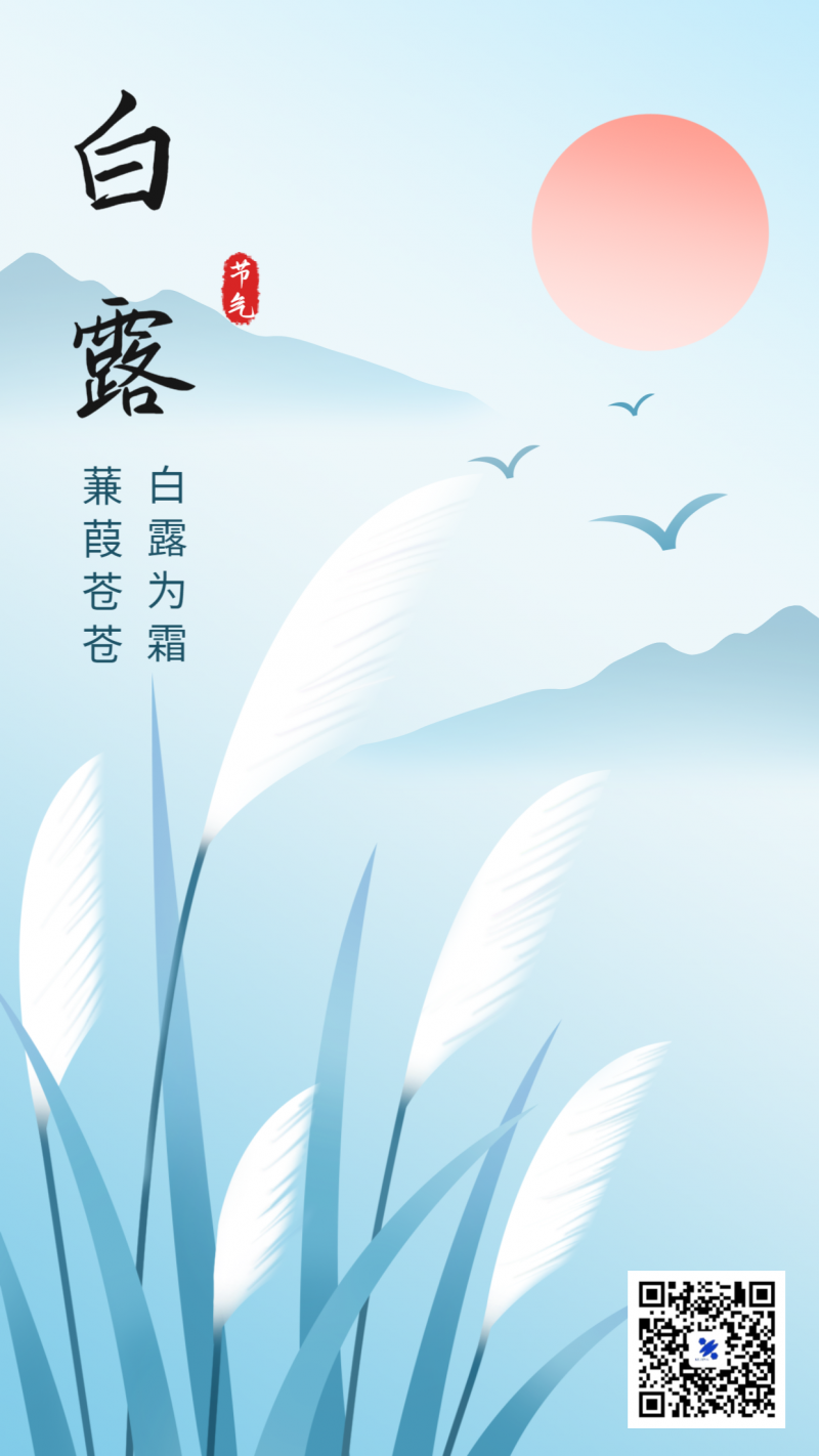 白露，芦苇，山，海报