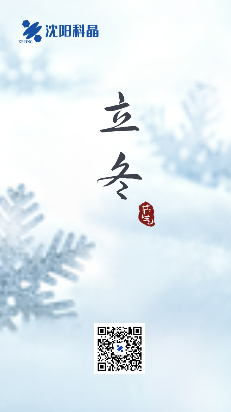 二十四节气立冬雪花手机海报