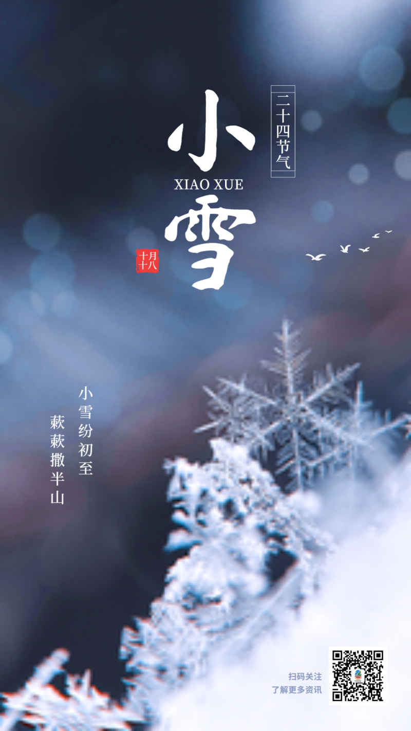 小雪，二十四节气，雪花