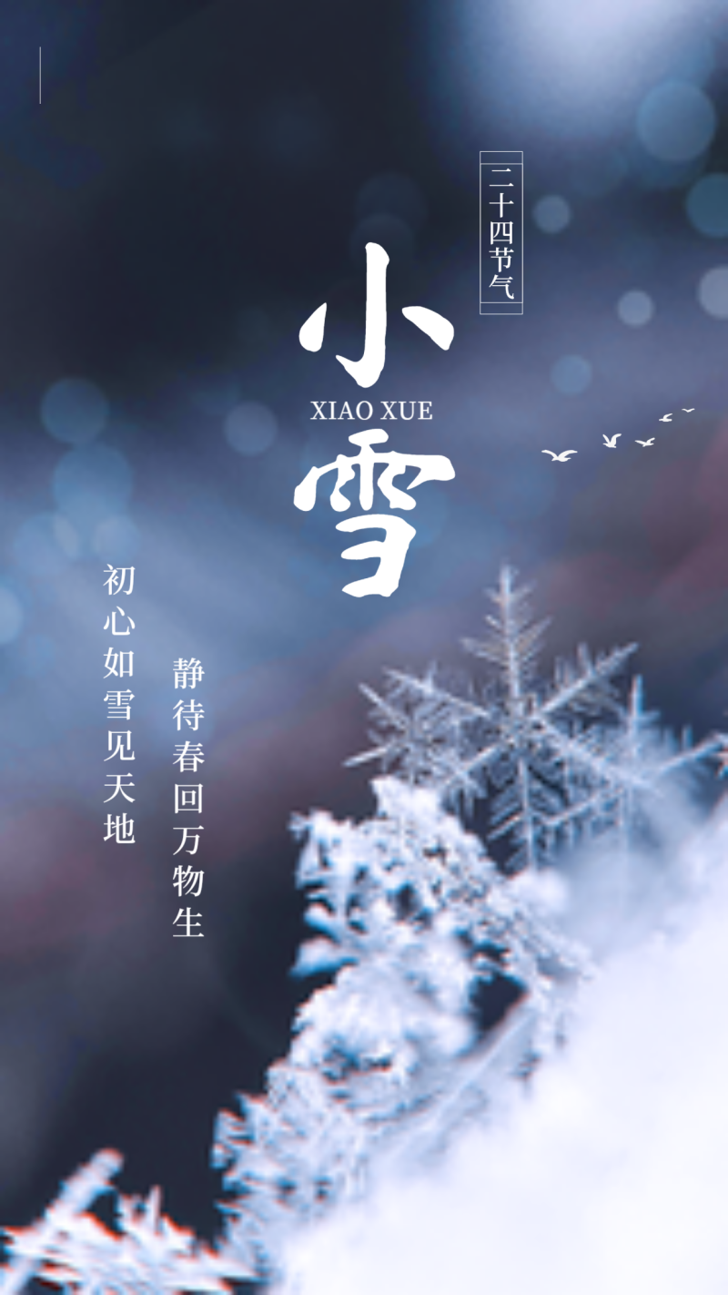 小雪，二十四节气，雪花