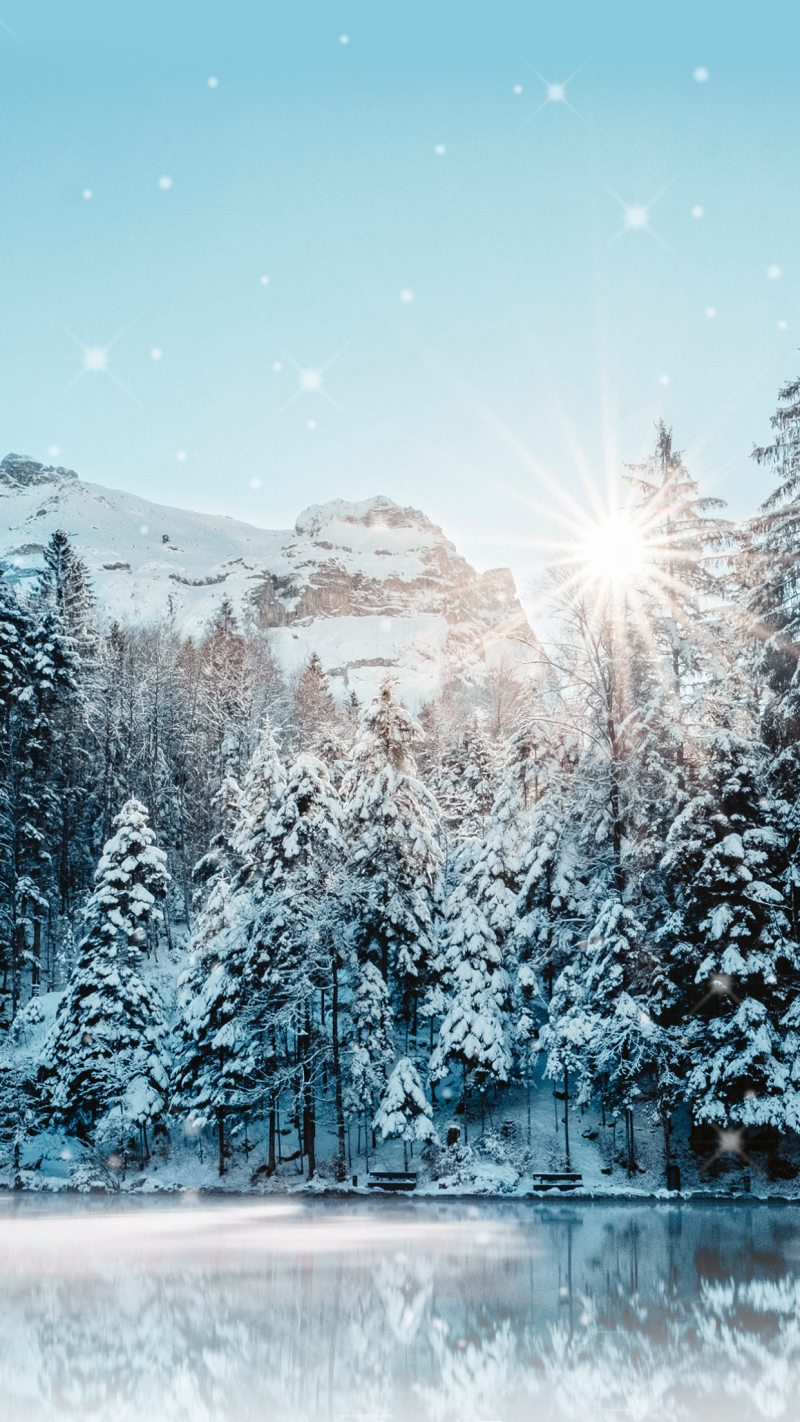 大雪，二十四节气，山林，实景