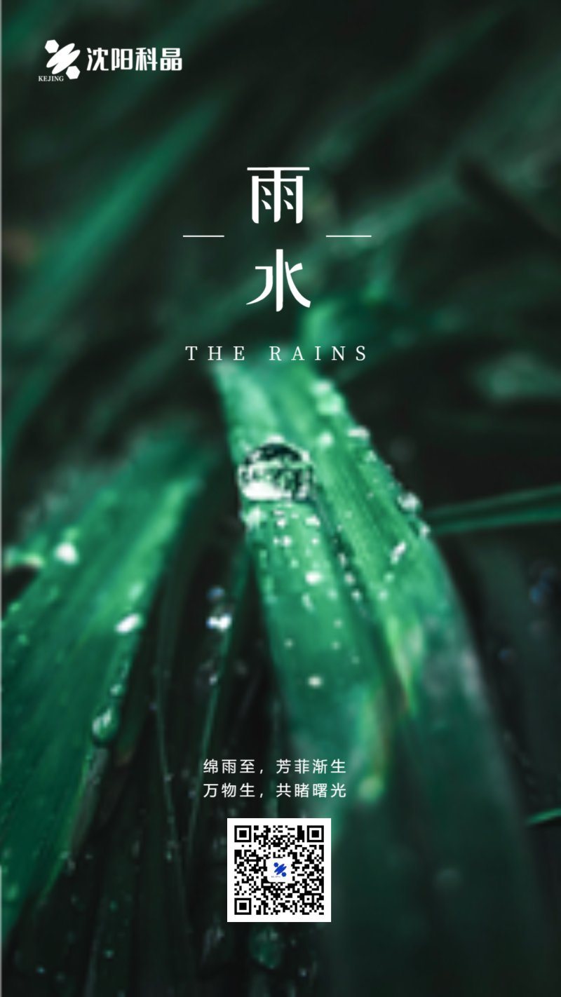 雨水，二十四节气，祝福，手机海报
