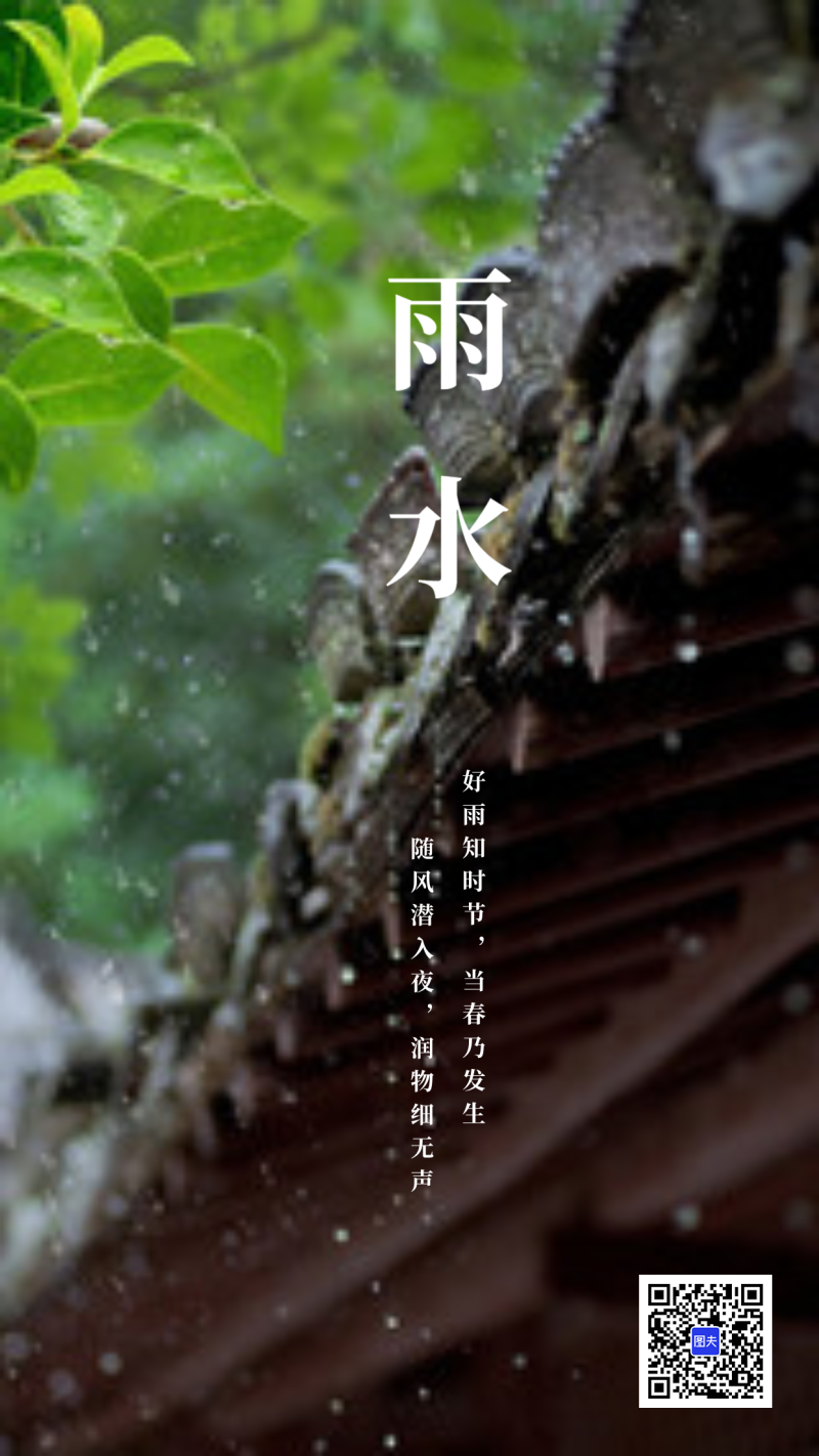 雨水，复古，古风，海报