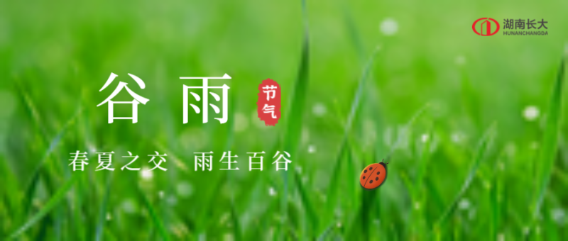 谷雨，瓢虫，草，公众号封面