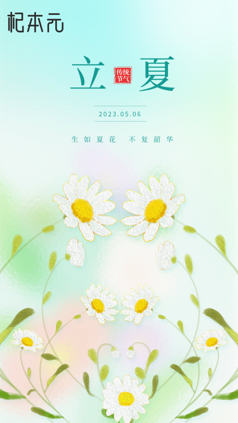 立夏，菊花，清新