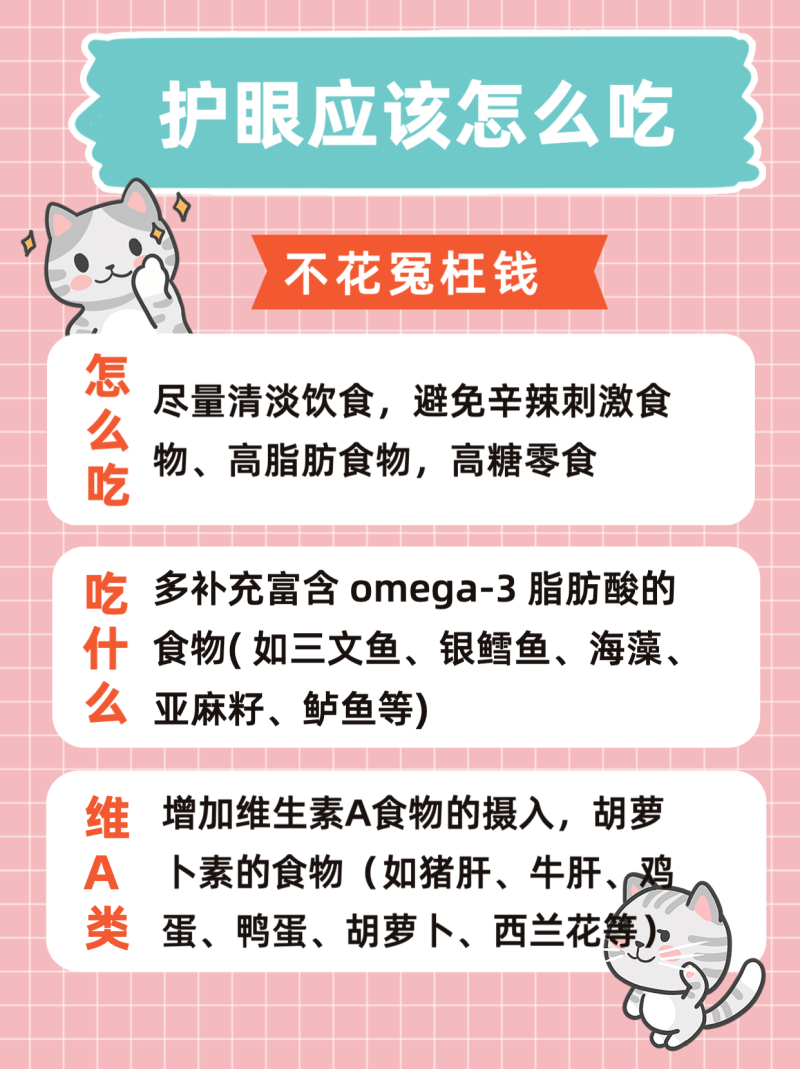 精致养猫手册，宠物饲养攻略，小红书配图