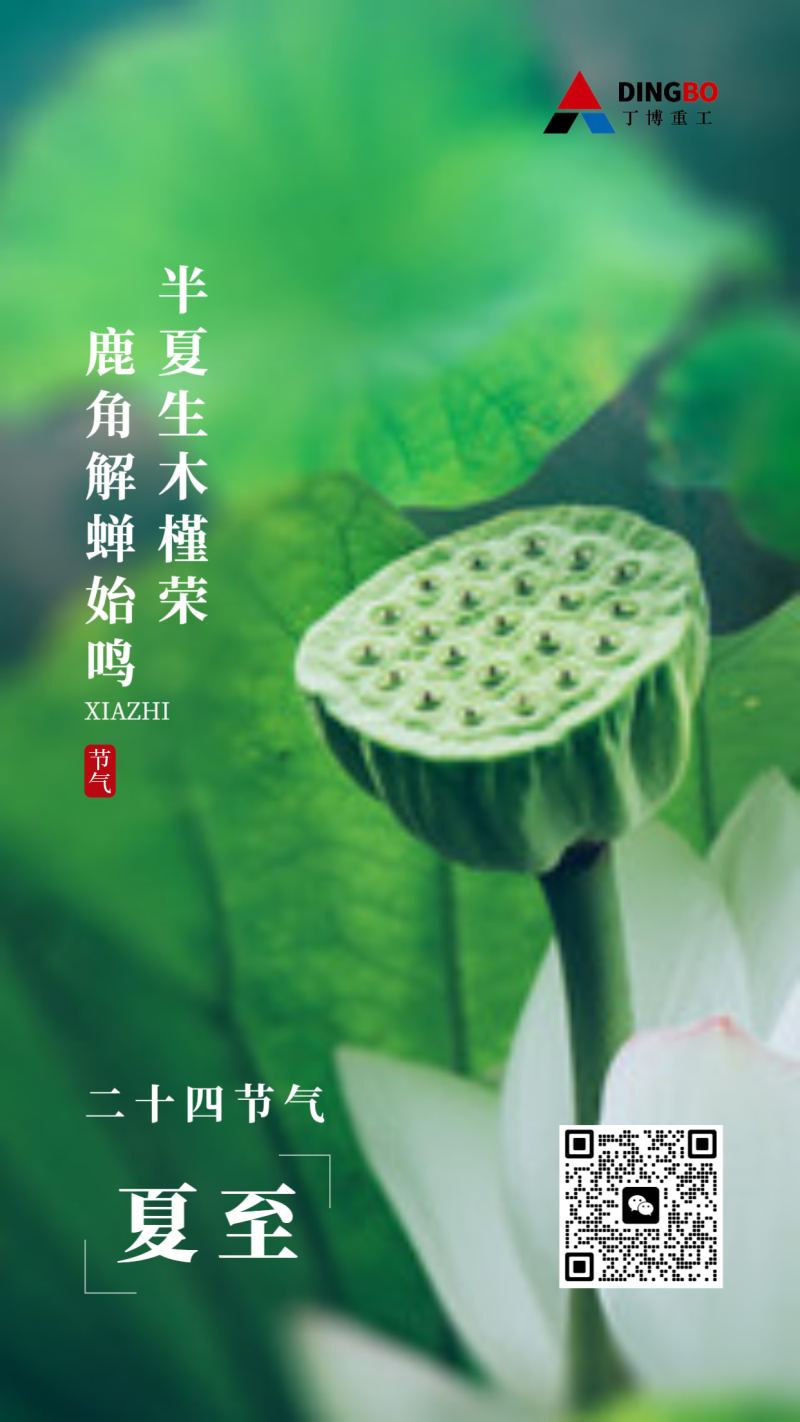 夏至 节气 莲蓬