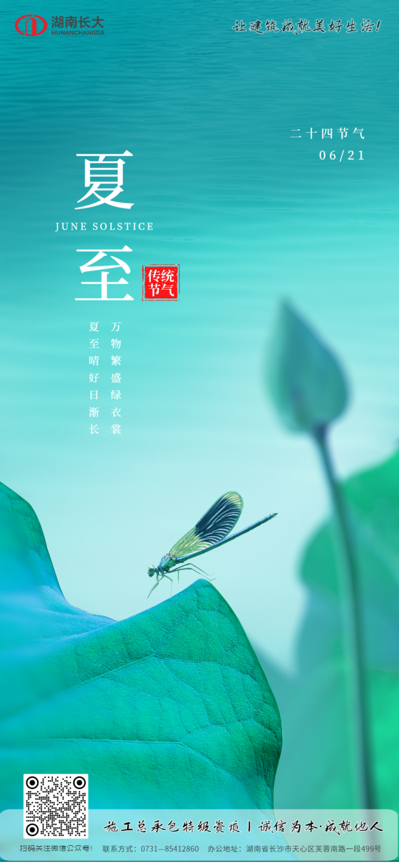 夏至，节气，实景，荷叶，手机海报