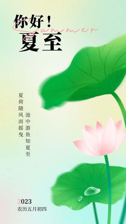  Summer Solstice Lotus Poster