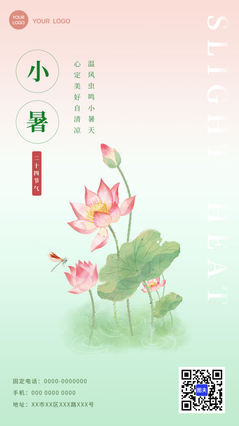 小暑，荷花