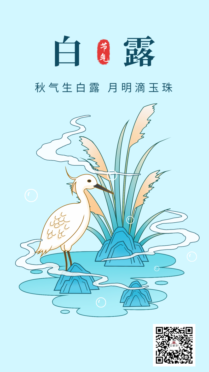 白露，芦苇，海报