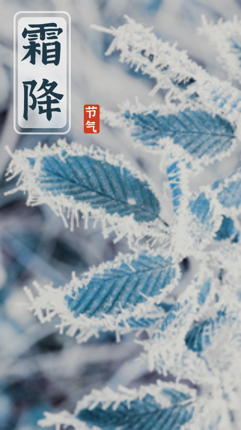/static/assets/images/default-pic.png 霜降,叶子,海报